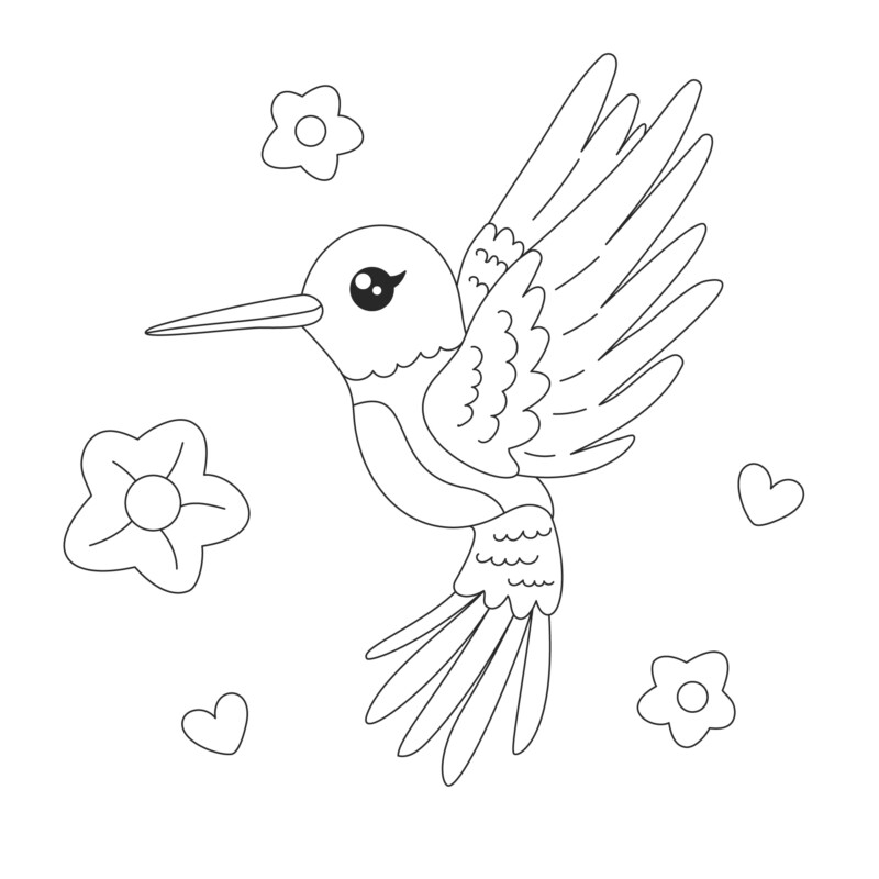 Desenho de beija-flor para colorir - beija-flor Desenho de beija-flor - beija-flor para colorir e imprimir grátis. Atividade infantil