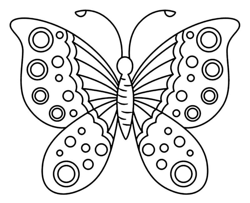 Desenho de borboletas para colorir - borboletas Desenho de borboletas - borboletas para colorir e imprimir grátis. Atividade infantil