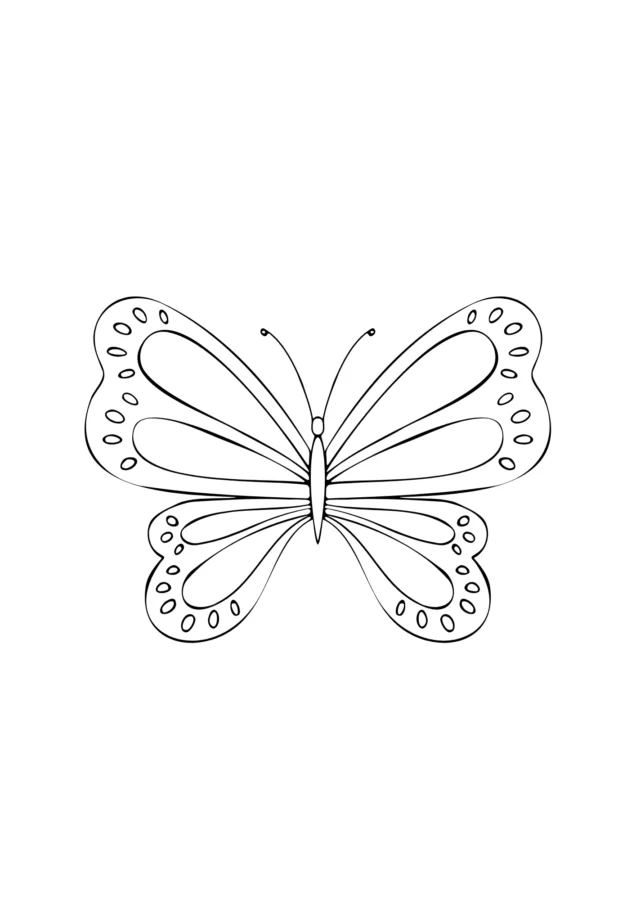 Desenho de borboletas para colorir - borboletas Desenho de borboletas - borboletas para colorir e imprimir grátis. Atividade infantil