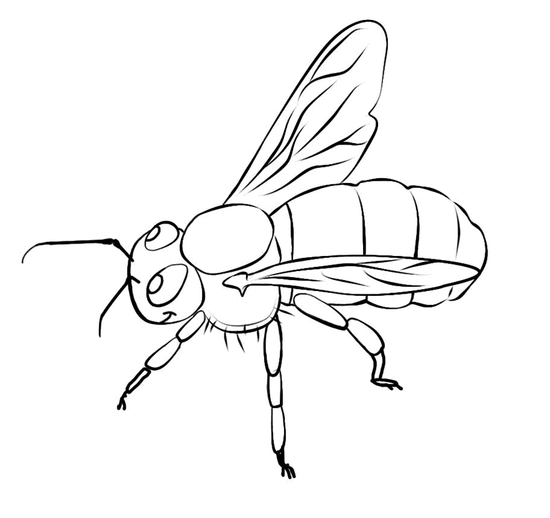 Desenho de abelhas para colorir - abelha