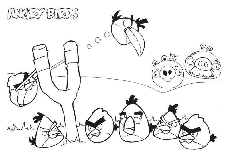 Desenho de angry birds para colorir - angry birds