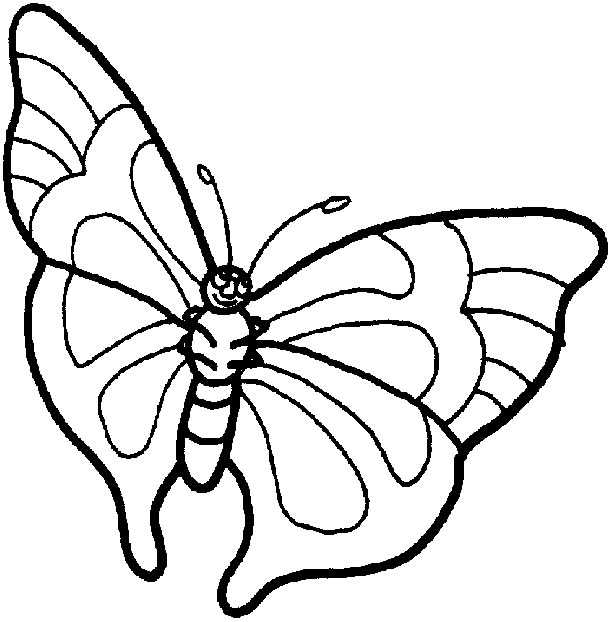 Desenho de borboletas para colorir - borboletas
