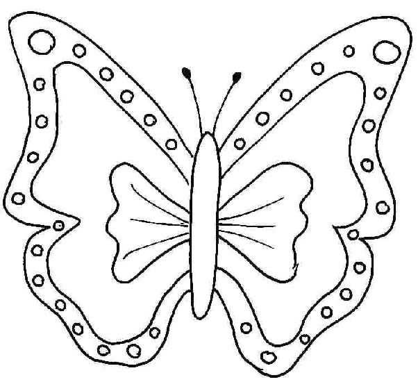 Desenho de borboletas para colorir - borboletas