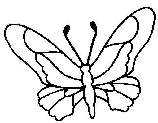 Desenho de borboletas para colorir - borboletas