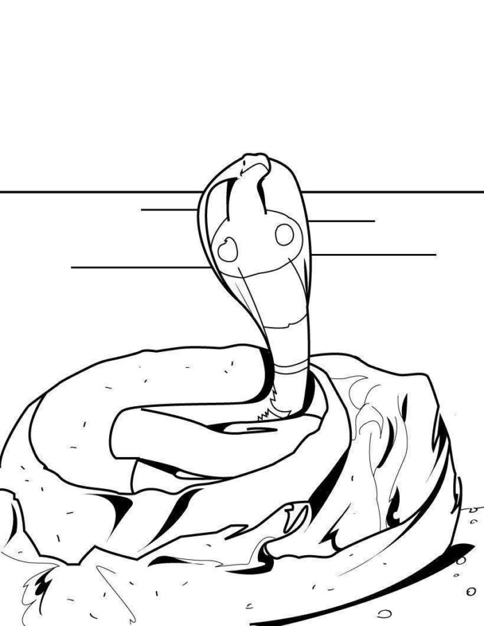 Desenho de cobras para colorir - cobras