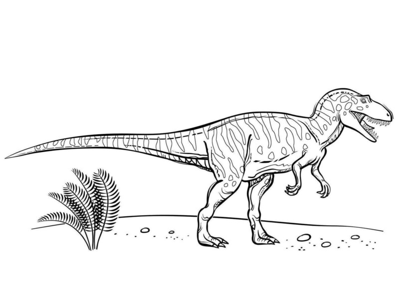 Desenho de dinossauros para colorir - dinossauros Desenho de dinossauros - dinossauros para colorir e imprimir grátis. Atividade infantil