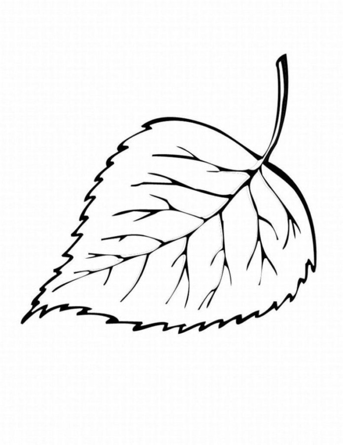 Desenho de folhas para colorir - folhas