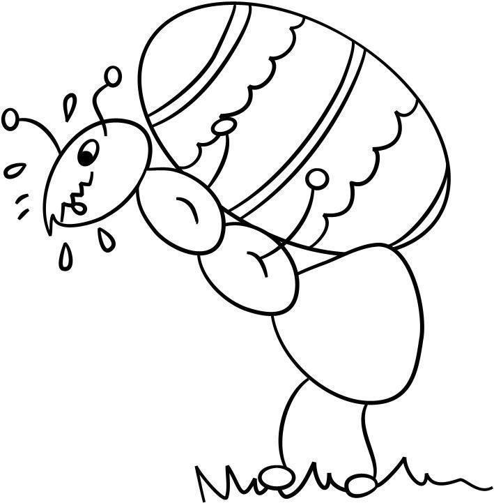 Desenho de formigas para colorir - formigas