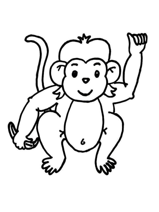 Desenho de macacos para colorir - macacos