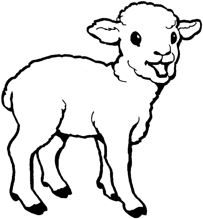 Desenho de ovelhas para colorir - ovelhas