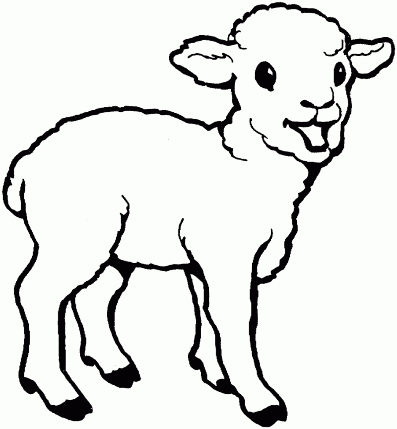 Desenho de ovelhas para colorir - ovelhas