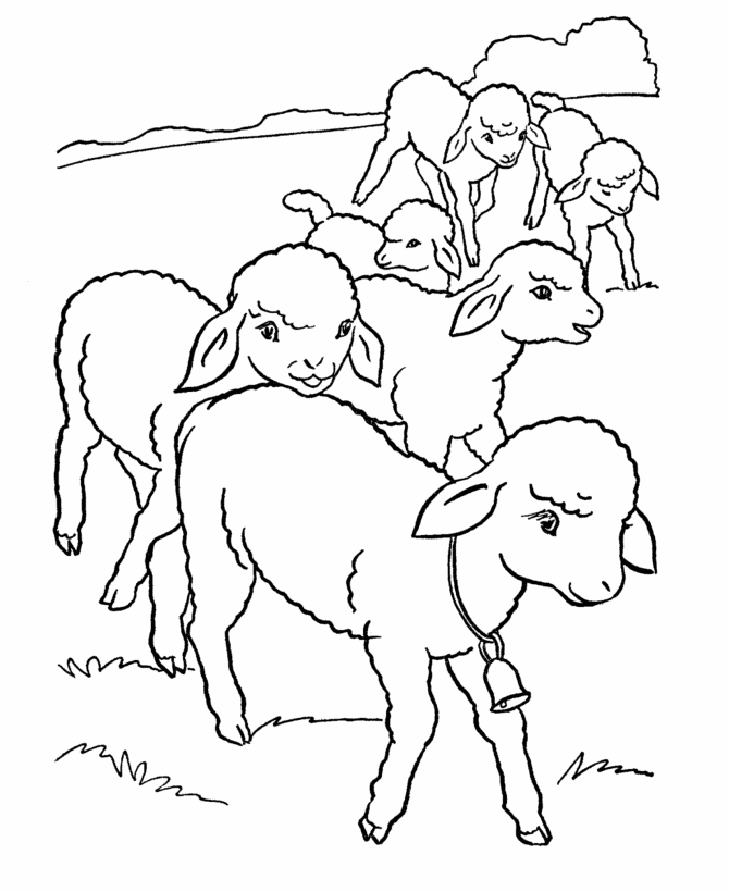 Desenho de ovelhas para colorir - ovelhas