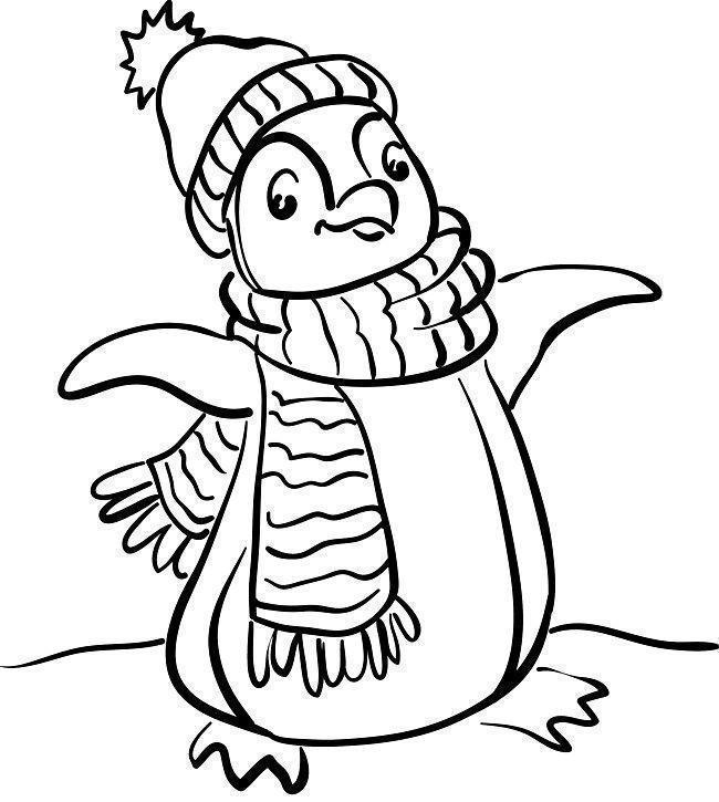 Desenho de pinguins para colorir - pinguins