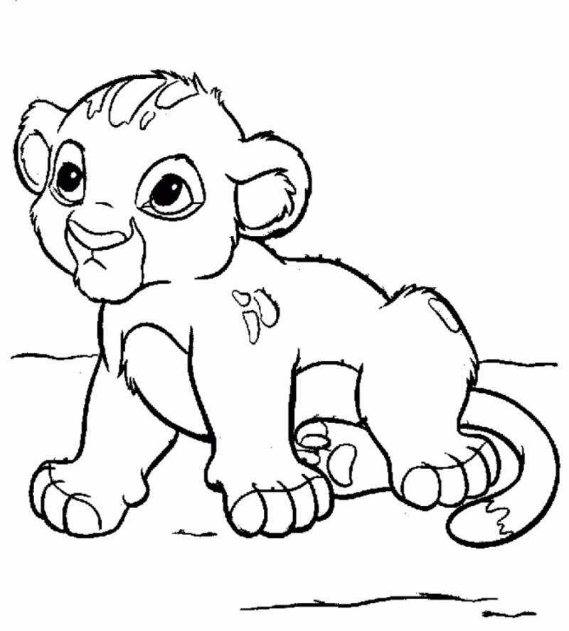 Desenho de simba para colorir - simba