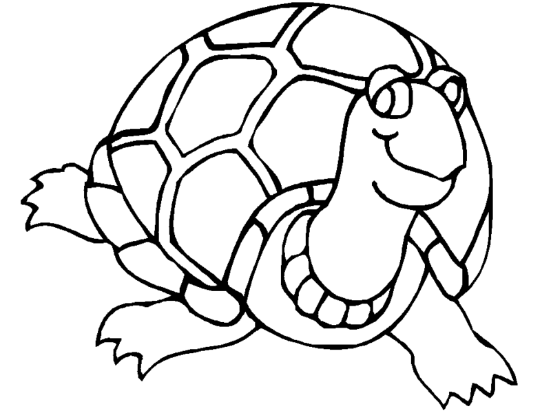 Desenho de tartarugas para colorir - tartarugas Desenho de tartarugas - tartarugas para colorir e imprimir grátis. Atividade infantil