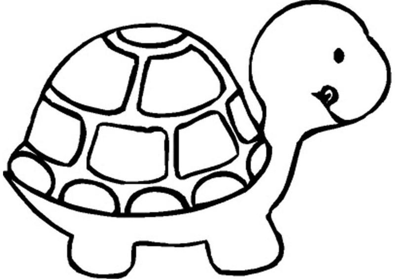 Desenho de tartarugas para colorir - tartarugas Desenho de tartarugas - tartarugas para colorir e imprimir grátis. Atividade infantil