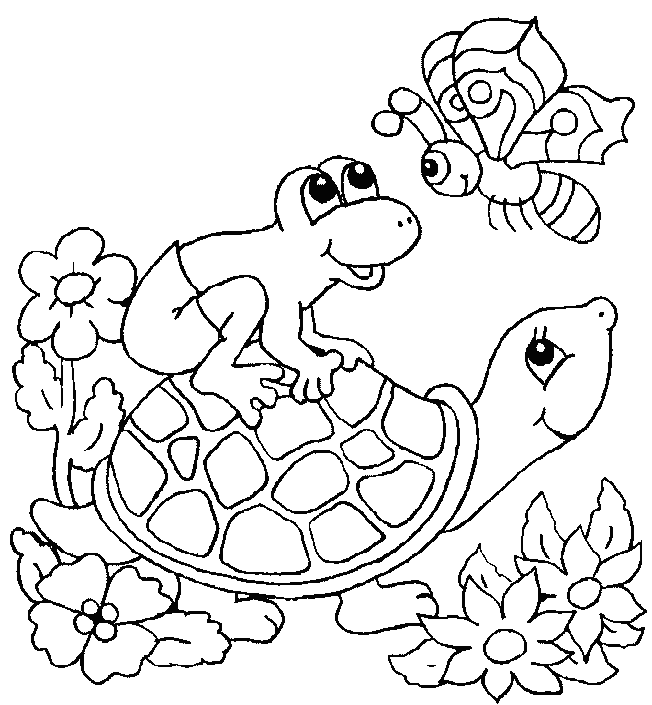 Desenho de tartarugas para colorir - tartarugas