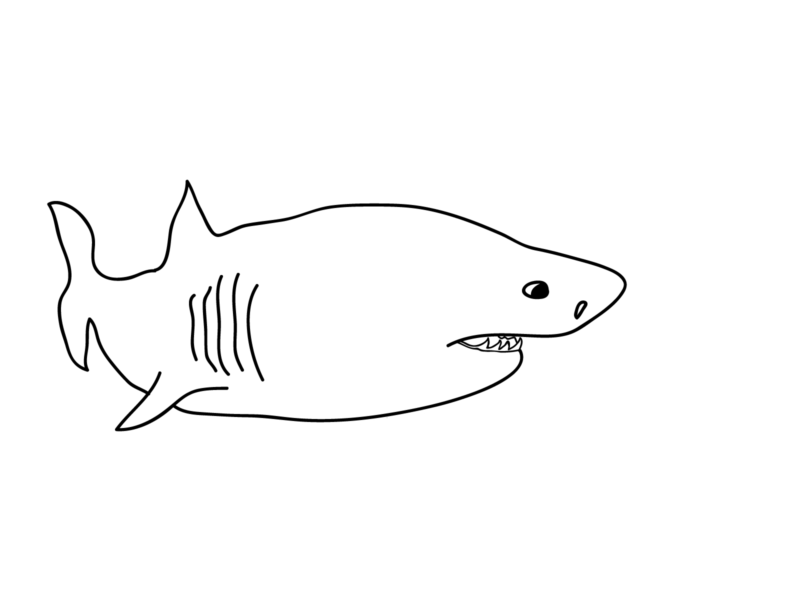 Desenho de tubarões para colorir - tubarões