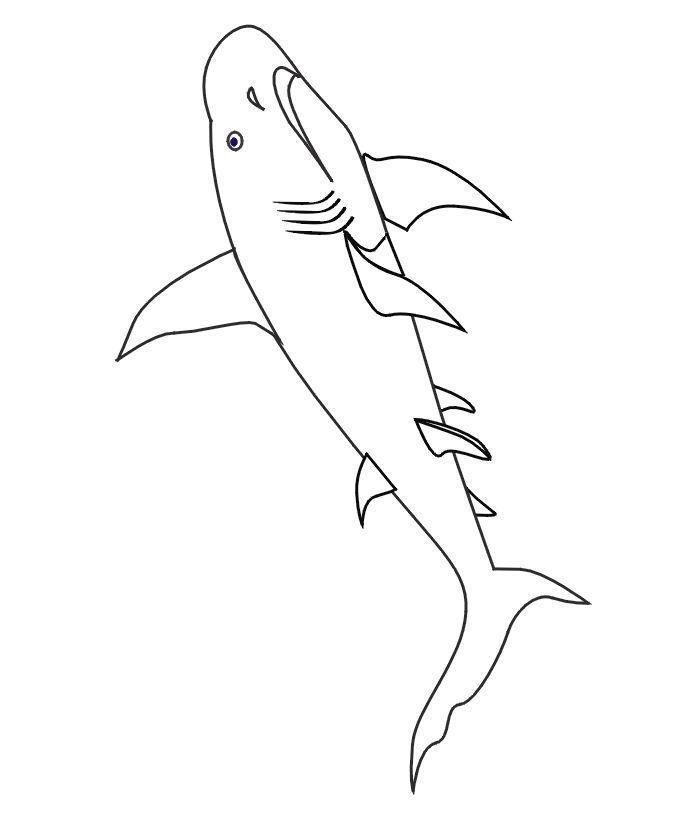 Desenho de tubarões para colorir - tubarões