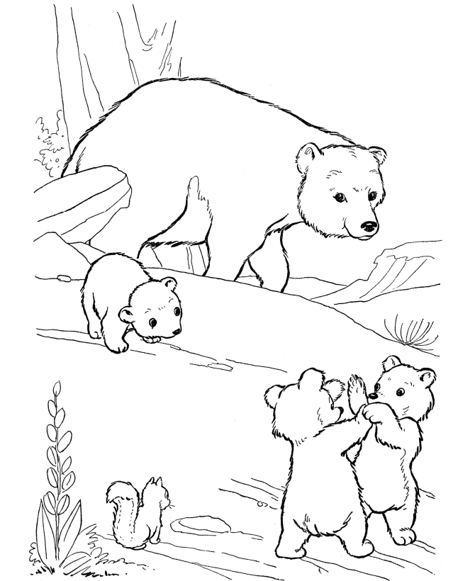 Desenho de ursos para colorir - ursos
