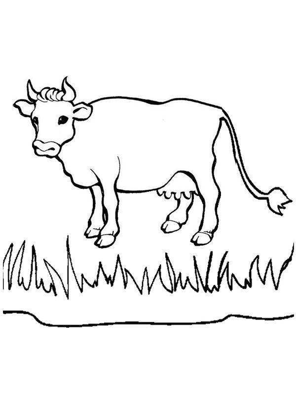 Desenho de vacas para colorir - vacas