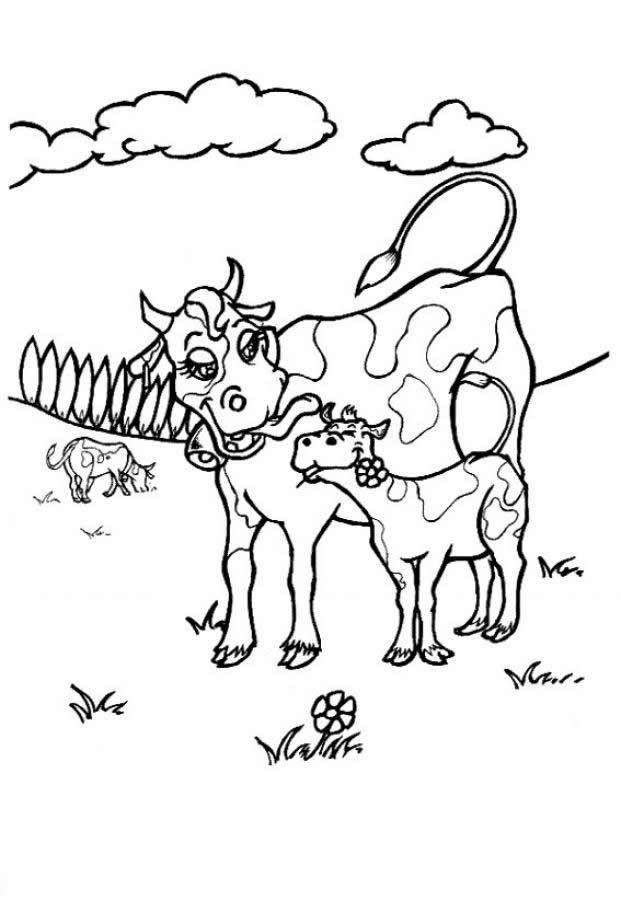 Desenho de vacas para colorir - vacas