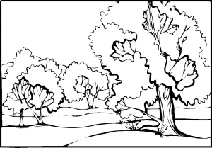 Desenho de paisagem para colorir 3