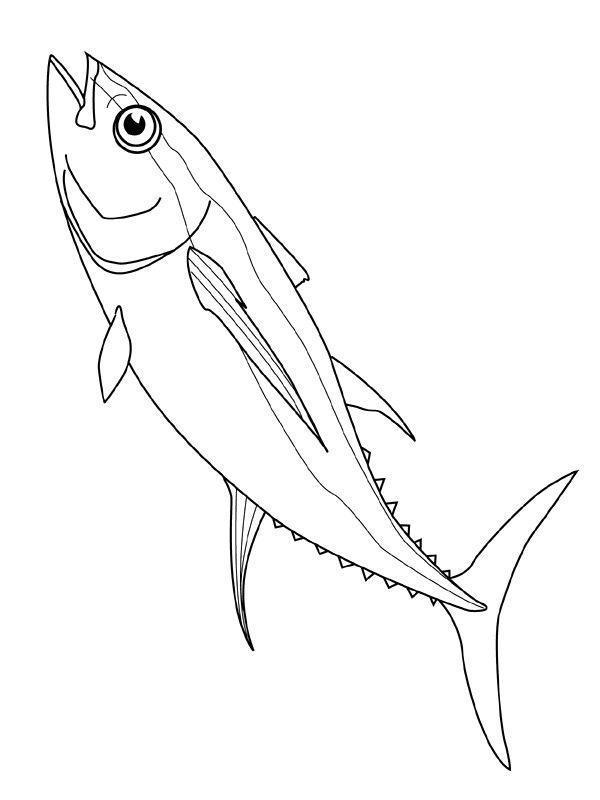 Desenho de peixes para colorir - peixes