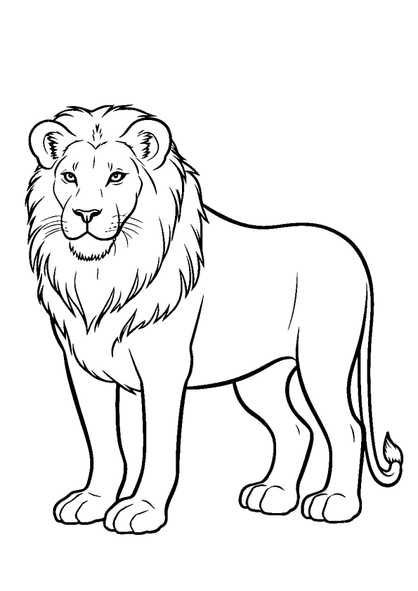 Desenho de leões para colorir - leões