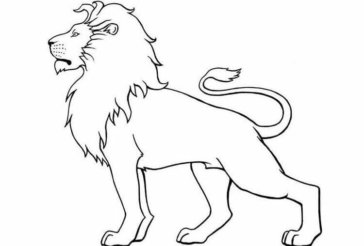 Desenho de leões para colorir - leões