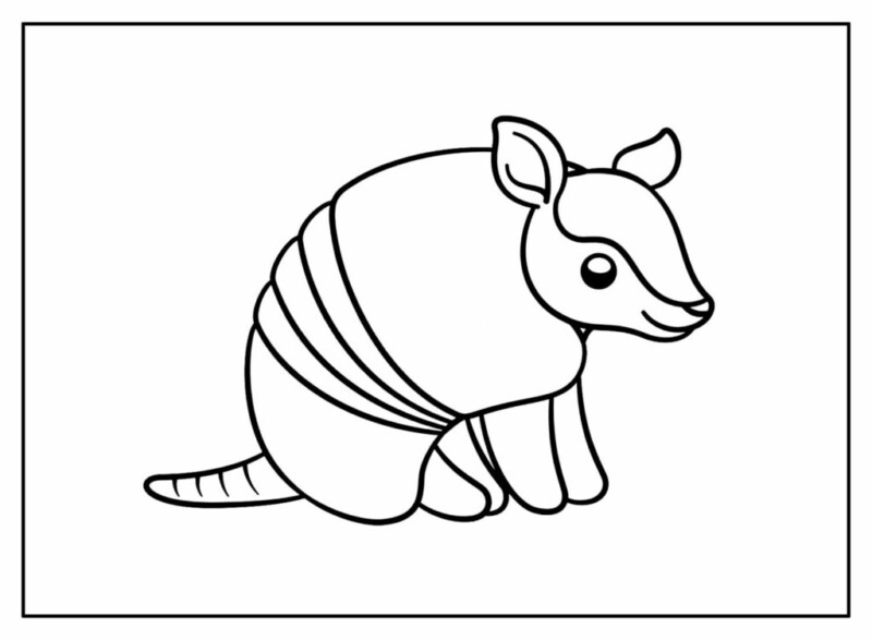 Desenho de tatu para colorir - tatu