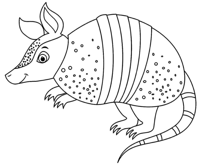 Desenho de tatu para colorir - tatu