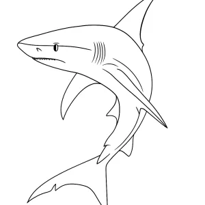Desenho de tubarão para colorir 50