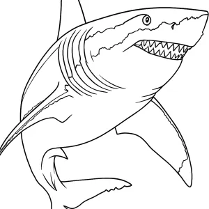 Desenho de tubarão para colorir 52