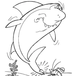 Desenho de tubarão para colorir 57