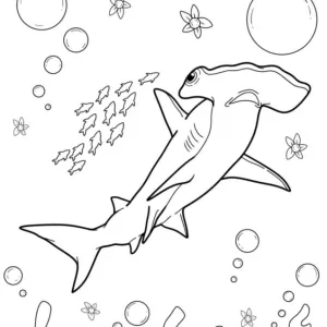 Desenho de tubarão para colorir 59