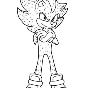 Desenho do Shadow the Hedgehog para colorir 4