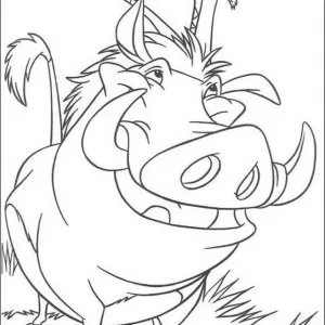 Desenho do Rei Leão para colorir 32