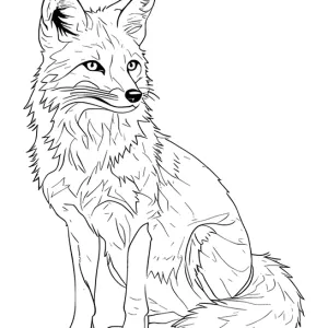 Desenho de raposa para colorir 13