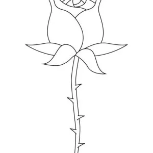 Desenho de rosa para colorir 5