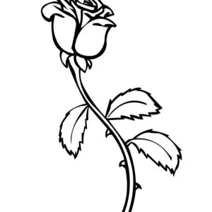 Desenho de rosa para colorir 9