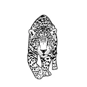 Desenho de onça para colorir 5
