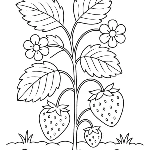 Desenho de morango para colorir 5