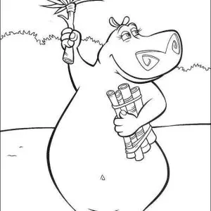 Desenho de Madagascar para colorir 53