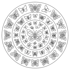 Mandala para colorir 40