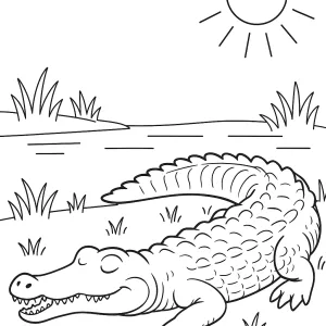 Desenho de jacaré para colorir 19
