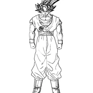 Desenho do Goku para colorir 9