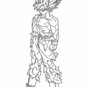 Desenho do Goku para colorir 12