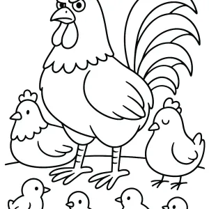 Desenho de galo para colorir 12