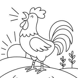 Desenho de galo para colorir 16